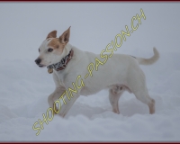 SEMSALES - 0352